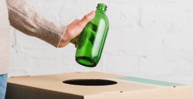 Para qué sirve el reciclaje Para qué sirve el reciclaje