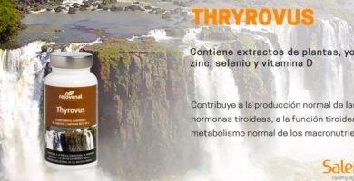 Para qué sirve la bacopa Para qué sirve la bacopa
