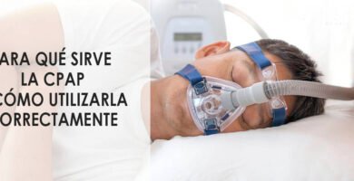 Para qué sirve la sangre Para qué sirve la sangre