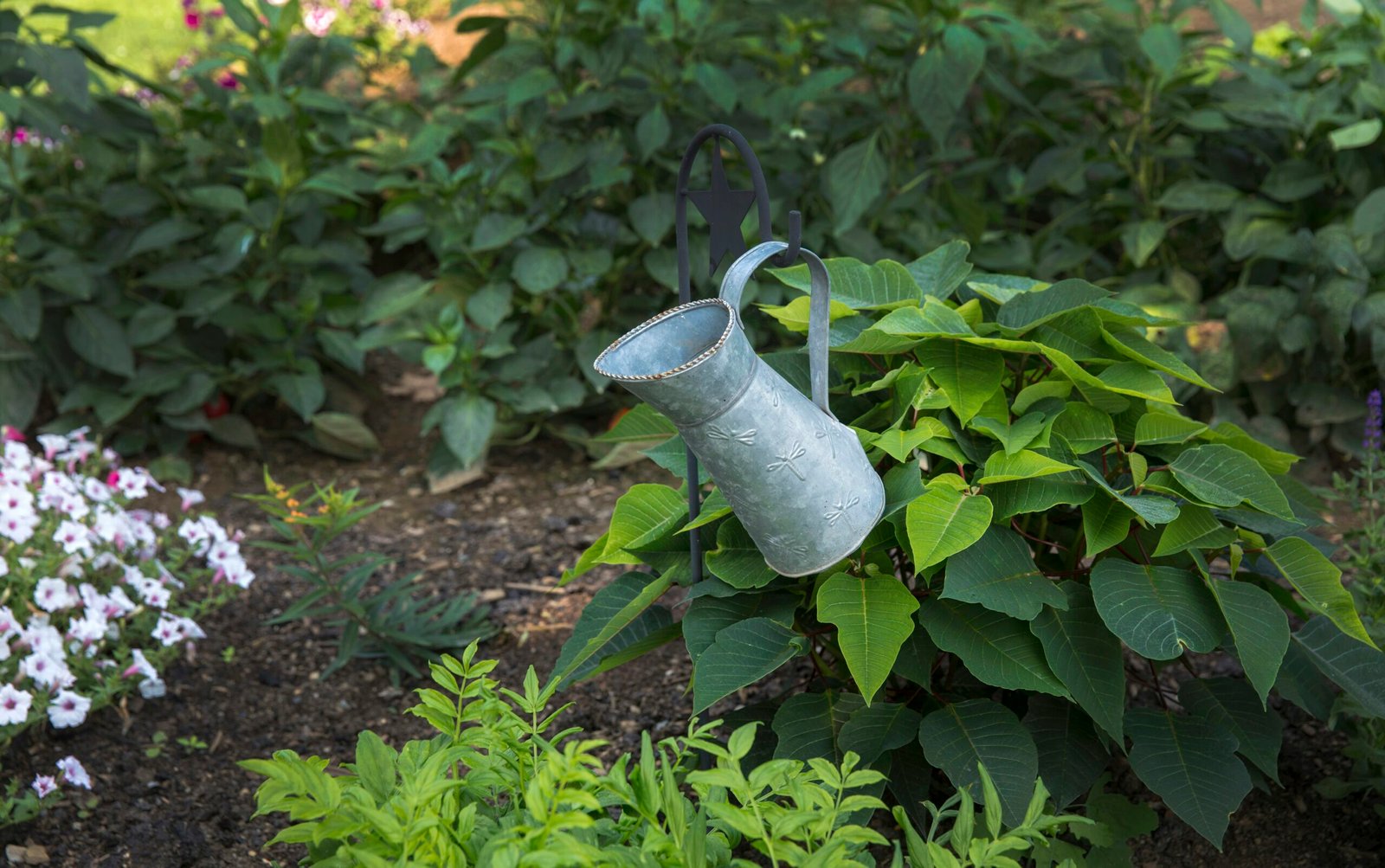 Para qué sirve el compost