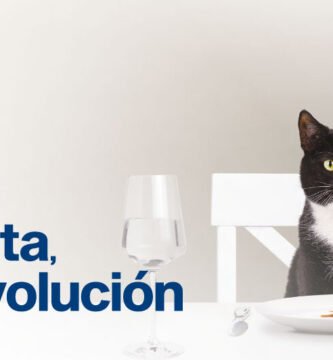 Para qué sirve el hodernal