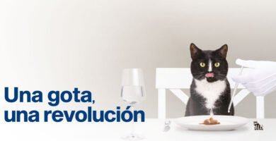 Para qué sirve el hodernal Para qué sirve el hodernal