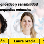 Para qué sirve el marbovet