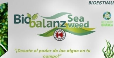 Para qué sirve el piriproxifen Para qué sirve el piriproxifen