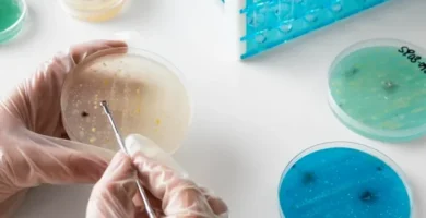 Para qué sirve el quantiferon Para qué sirve el quantiferon
