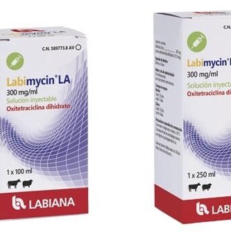 Para qué sirve el ribosoma