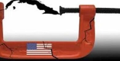 Para qué sirve el sargento Para qué sirve el sargento