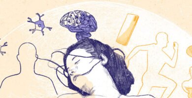 Para qué sirve la amígdala Para qué sirve la amígdala