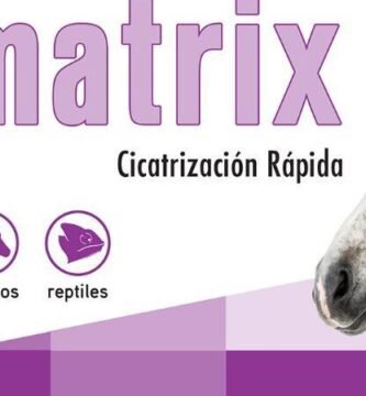Para qué sirve la deltametrina