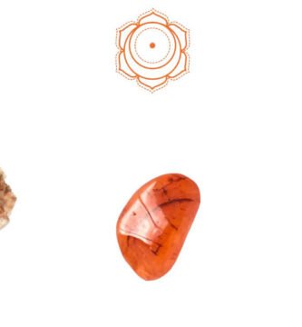 Para qué sirve la glándula pineal