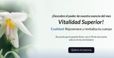 Para qué sirve la ignatia Para qué sirve la ignatia