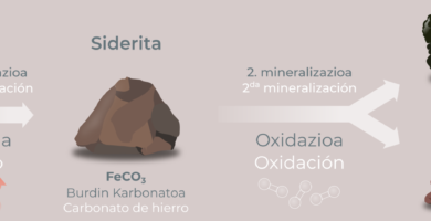 Para qué sirven las diatomeas Para qué sirven las diatomeas